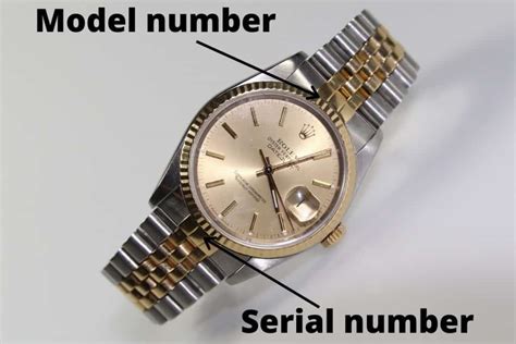 why hide watch serial number